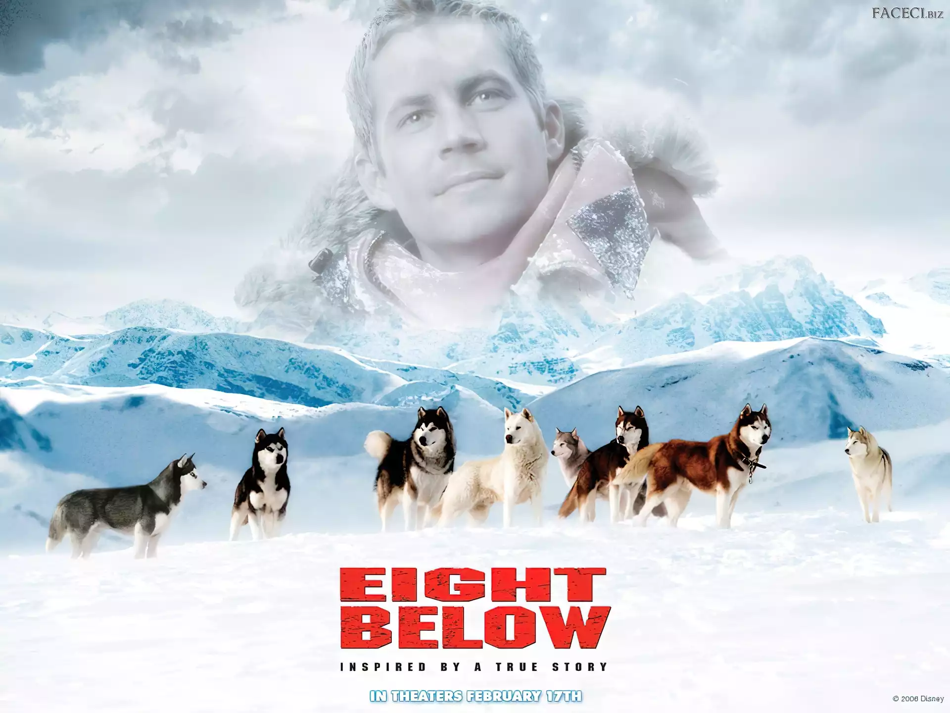 góry, Paul Walker, psy, Eight Below